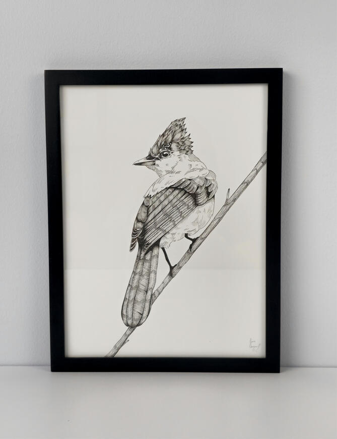 Varius leo fermentum