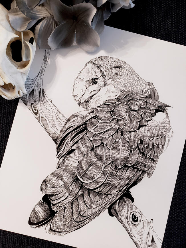 Dolor adipiscing elit